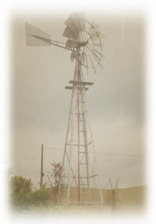 Nous Toeka Nelspruit