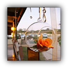 Corporate events at Nous toeka Nelspruit