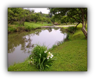 Nous Toeka River Beauty